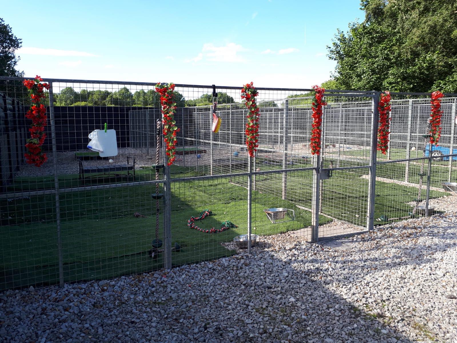 The Kennels – Moss Cottage Boarding
