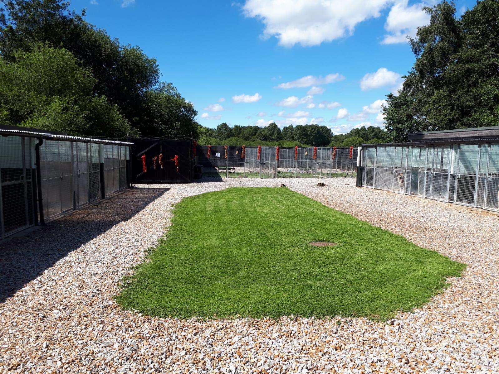 The Kennels – Moss Cottage Boarding